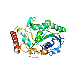 BU of 3ngm by Molmil