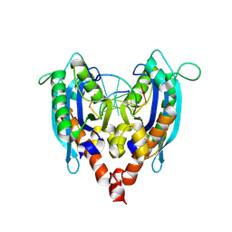 BU of 3nh2 by Molmil