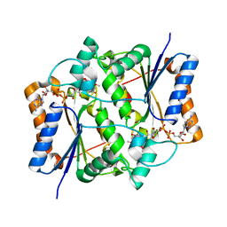 BU of 3nhf by Molmil