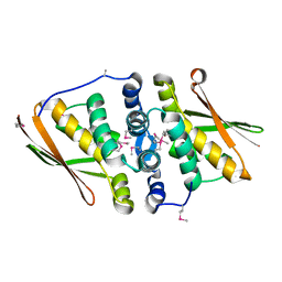 BU of 3njc by Molmil