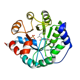 AU of 3nl8 by Molmil