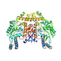 BU of 3nlh by Molmil