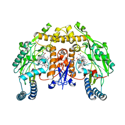 BU of 3nln by Molmil