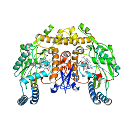 BU of 3nlp by Molmil