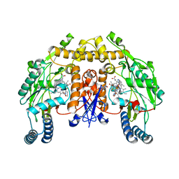 BU of 3nlw by Molmil