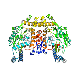 BU of 3nlx by Molmil