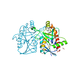 BU of 3nm6 by Molmil