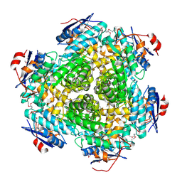 BU of 3no1 by Molmil