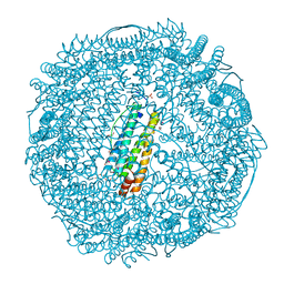 BU of 3np0 by Molmil