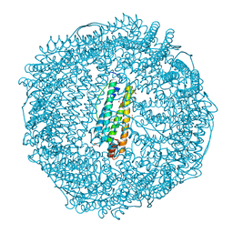 BU of 3np2 by Molmil