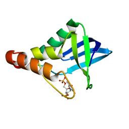 BU of 3np8 by Molmil