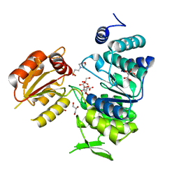 BU of 3nrs by Molmil