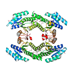 BU of 3nyw by Molmil