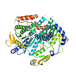 AU of 3nzo by Molmil