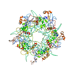 AU of 3oae by Molmil