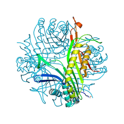 BU of 3obp by Molmil