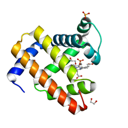 AU of 3ock by Molmil