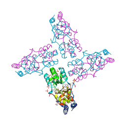 BU of 3ocm by Molmil