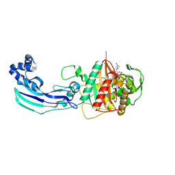 BU of 3ocn by Molmil