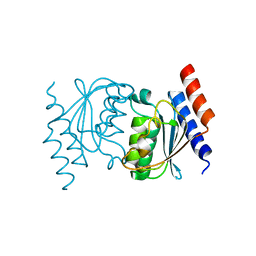 BU of 3ocq by Molmil