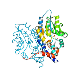 BU of 3ocv by Molmil