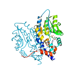 BU of 3ocx by Molmil