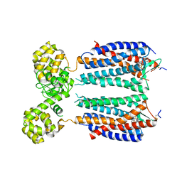 BU of 3oe8 by Molmil