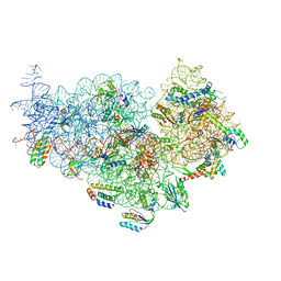 AU of 3ofa by Molmil