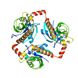 BU of 3ofv by Molmil