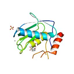 BU of 3ohl by Molmil