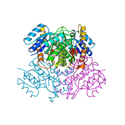 BU of 3oic by Molmil