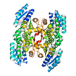 BU of 3oid by Molmil