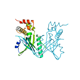 BU of 3oip by Molmil