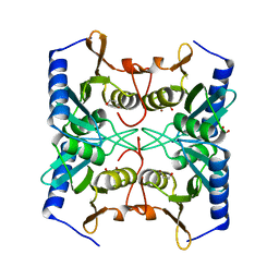 BU of 3oj6 by Molmil