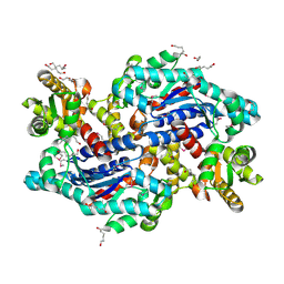 BU of 3ojc by Molmil