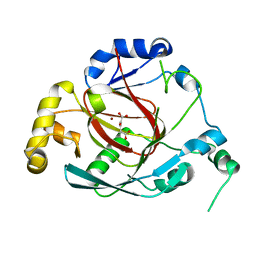 BU of 3opt by Molmil