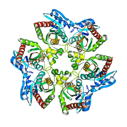 BU of 3opv by Molmil