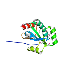 BU of 3or5 by Molmil