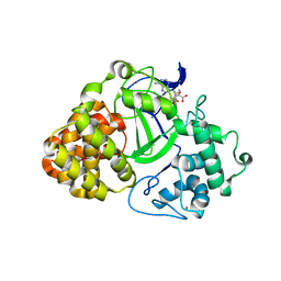 BU of 3oxl by Molmil