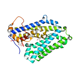 BU of 3oyv by Molmil