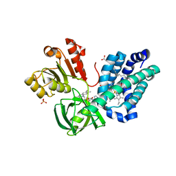 BU of 3ozv by Molmil