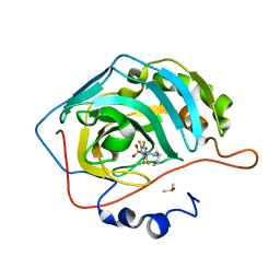 AU of 3p29 by Molmil