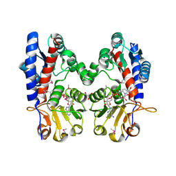 BU of 3p2o by Molmil