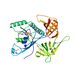 AU of 3p3m by Molmil
