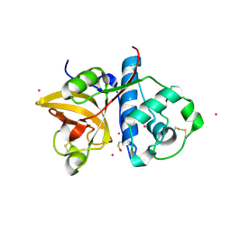 BU of 3p5x by Molmil