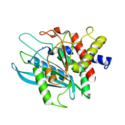 BU of 3pb4 by Molmil