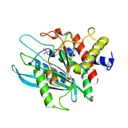 BU of 3pb6 by Molmil