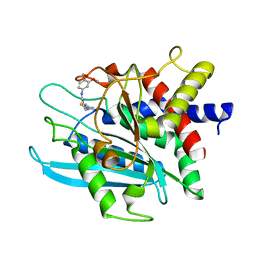 BU of 3pb7 by Molmil