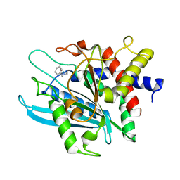 BU of 3pb9 by Molmil