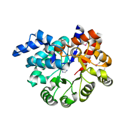 BU of 3pbm by Molmil